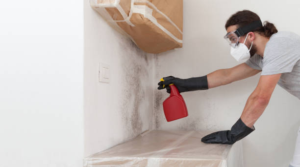 Professional Attic Mold Remediation technician working in Warrenville, IL