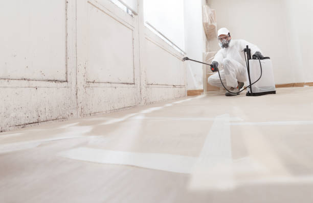 24/7 Emergency Attic Mold Remediation experts in Warrenville, IL
